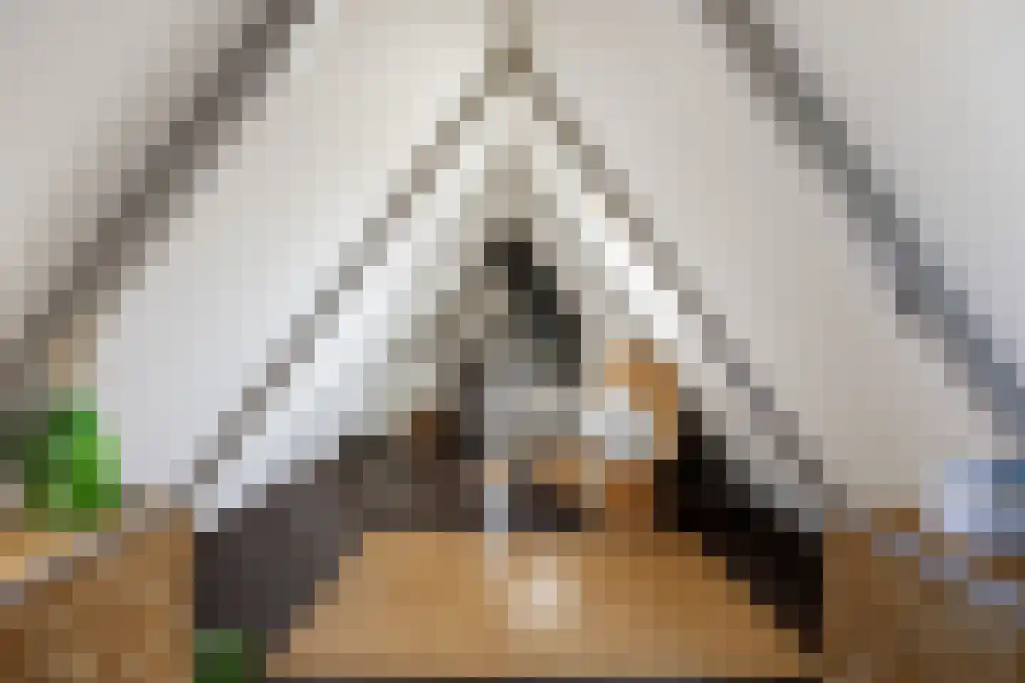 van Starkenborghkan Nz 15 Noordhorn thumbnail 38