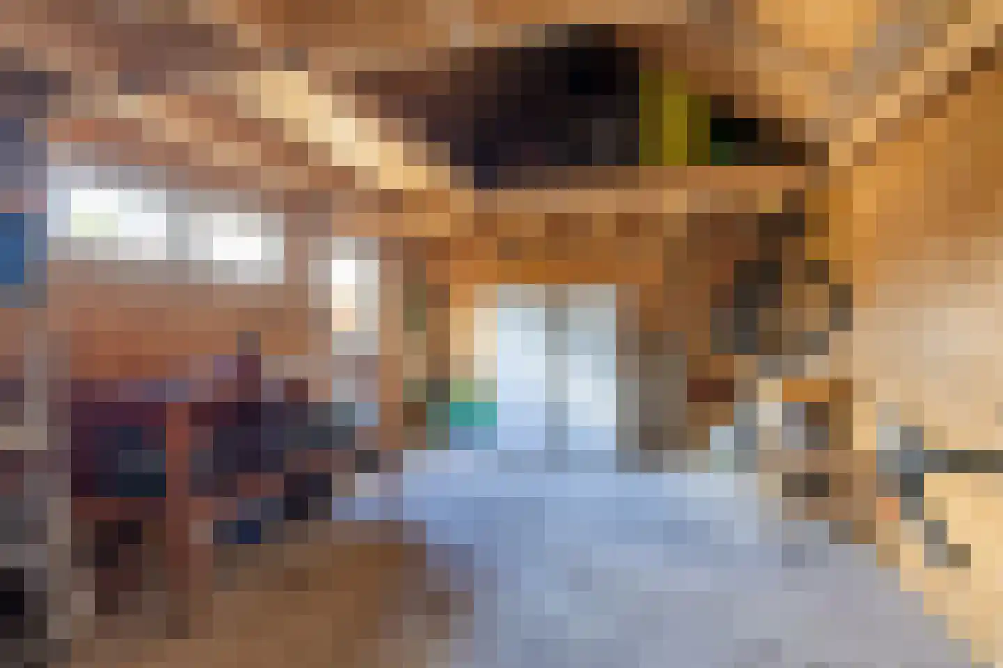 van Starkenborghkan Nz 15 Noordhorn thumbnail 48