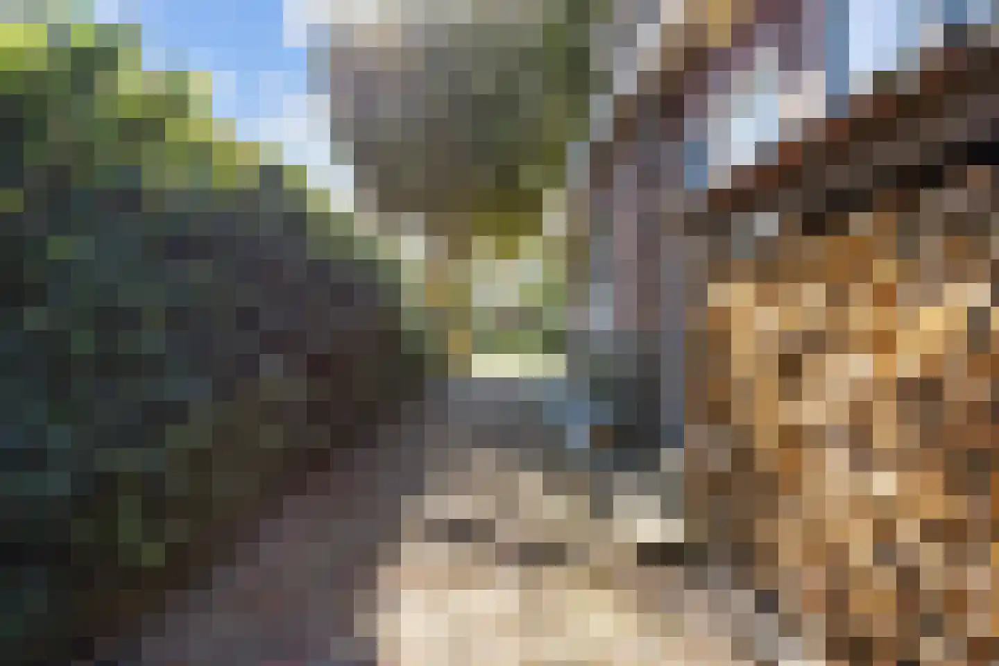 van Starkenborghkan Nz 15 Noordhorn thumbnail 51