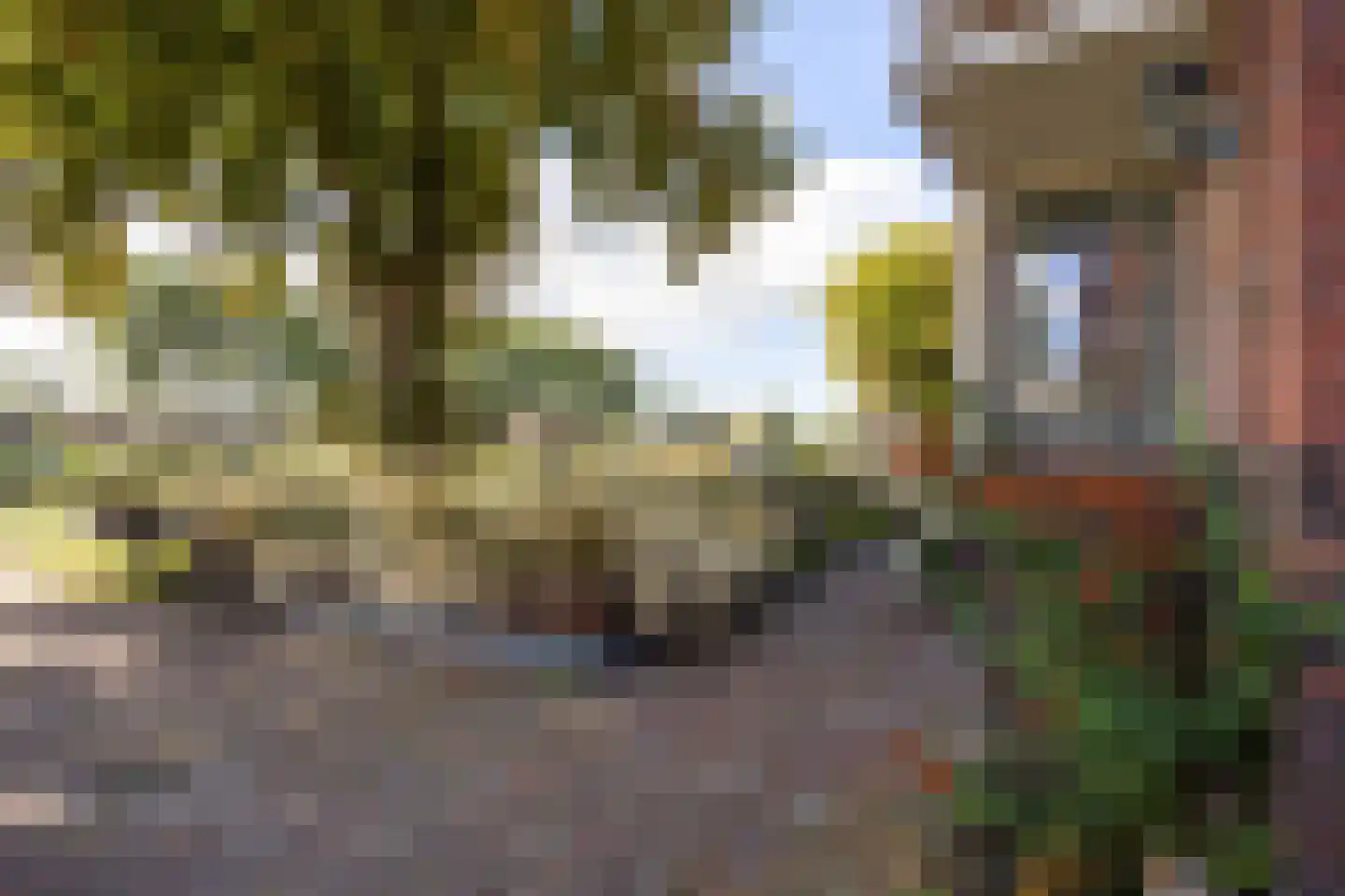 van Starkenborghkan Nz 15 Noordhorn thumbnail 52