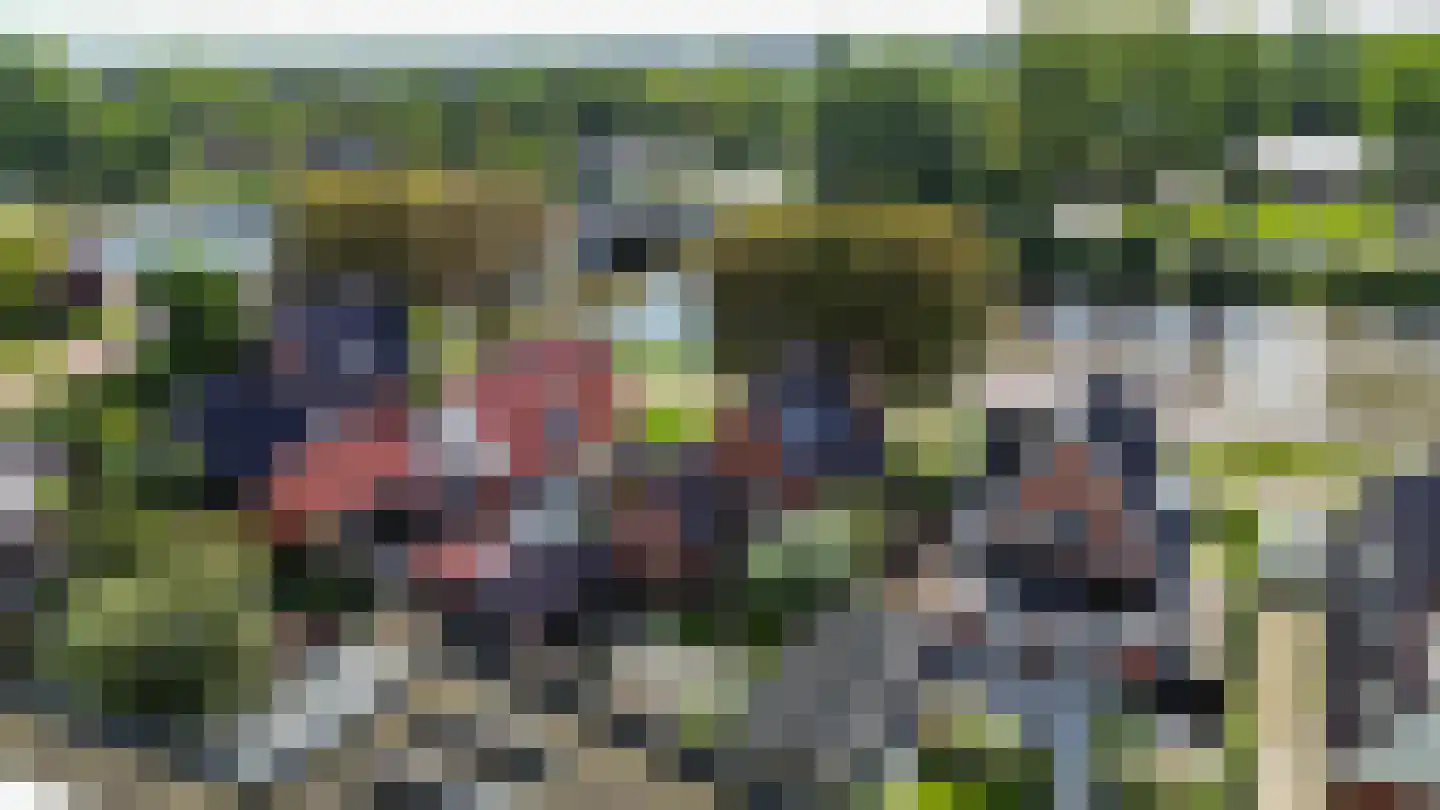 van Starkenborghkan Nz 15 Noordhorn thumbnail 54