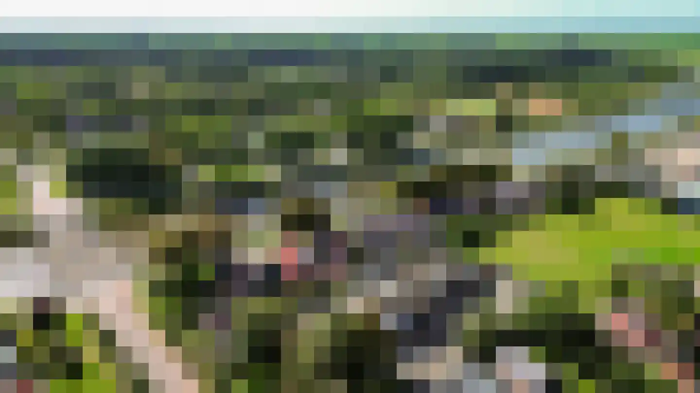 van Starkenborghkan Nz 15 Noordhorn thumbnail 56
