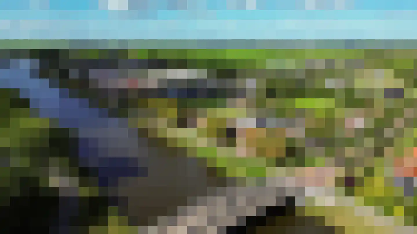 van Starkenborghkan Nz 15 Noordhorn thumbnail 58