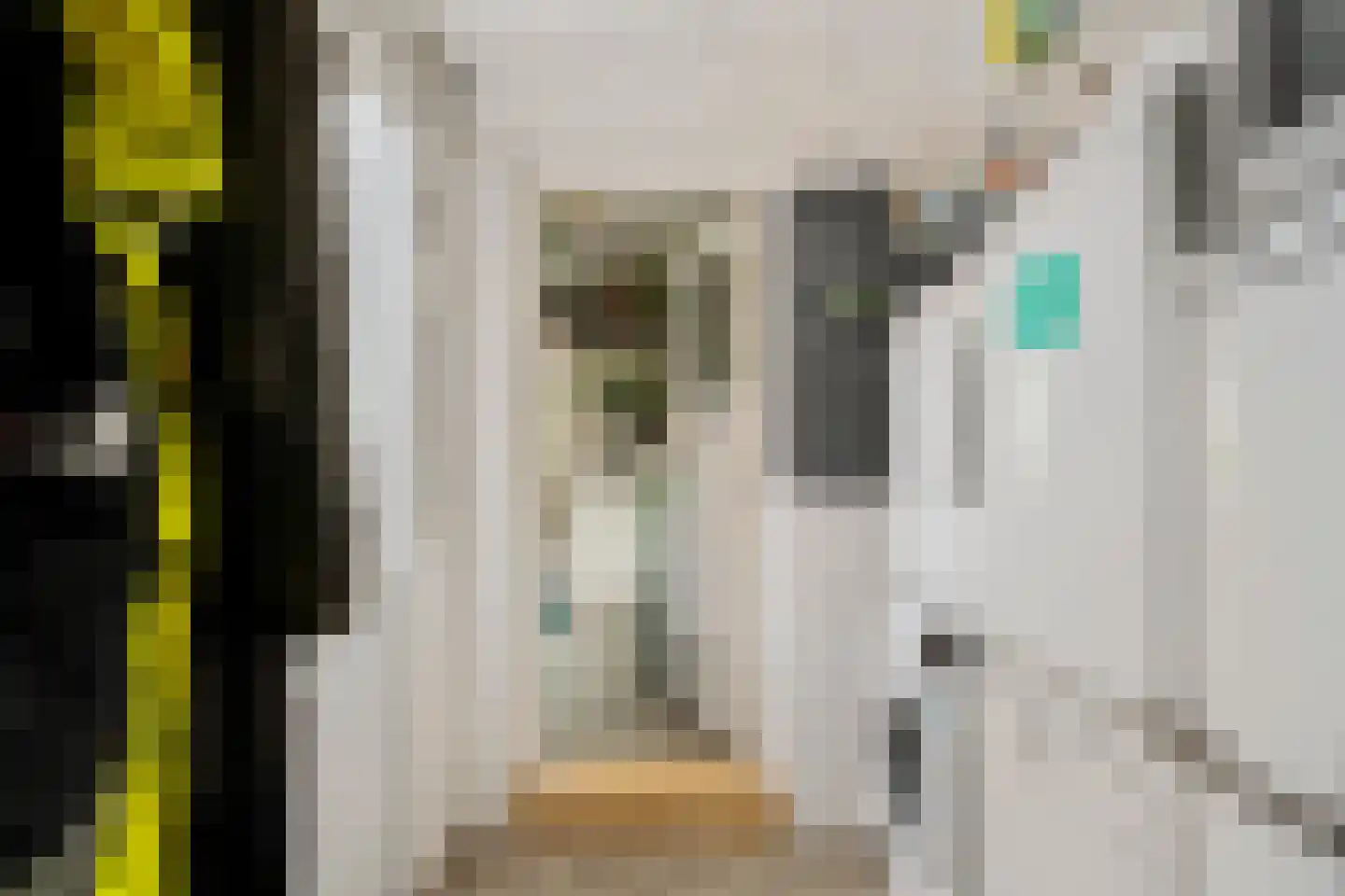 van Starkenborghstraat 10 Schiermonnikoog thumbnail 13