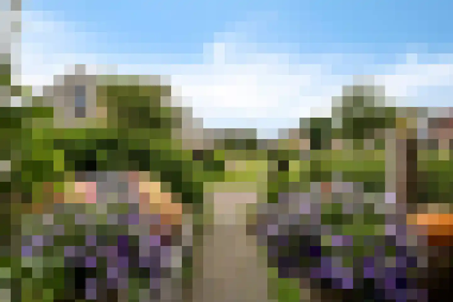 van Starkenborghstraat 10 Schiermonnikoog thumbnail 5
