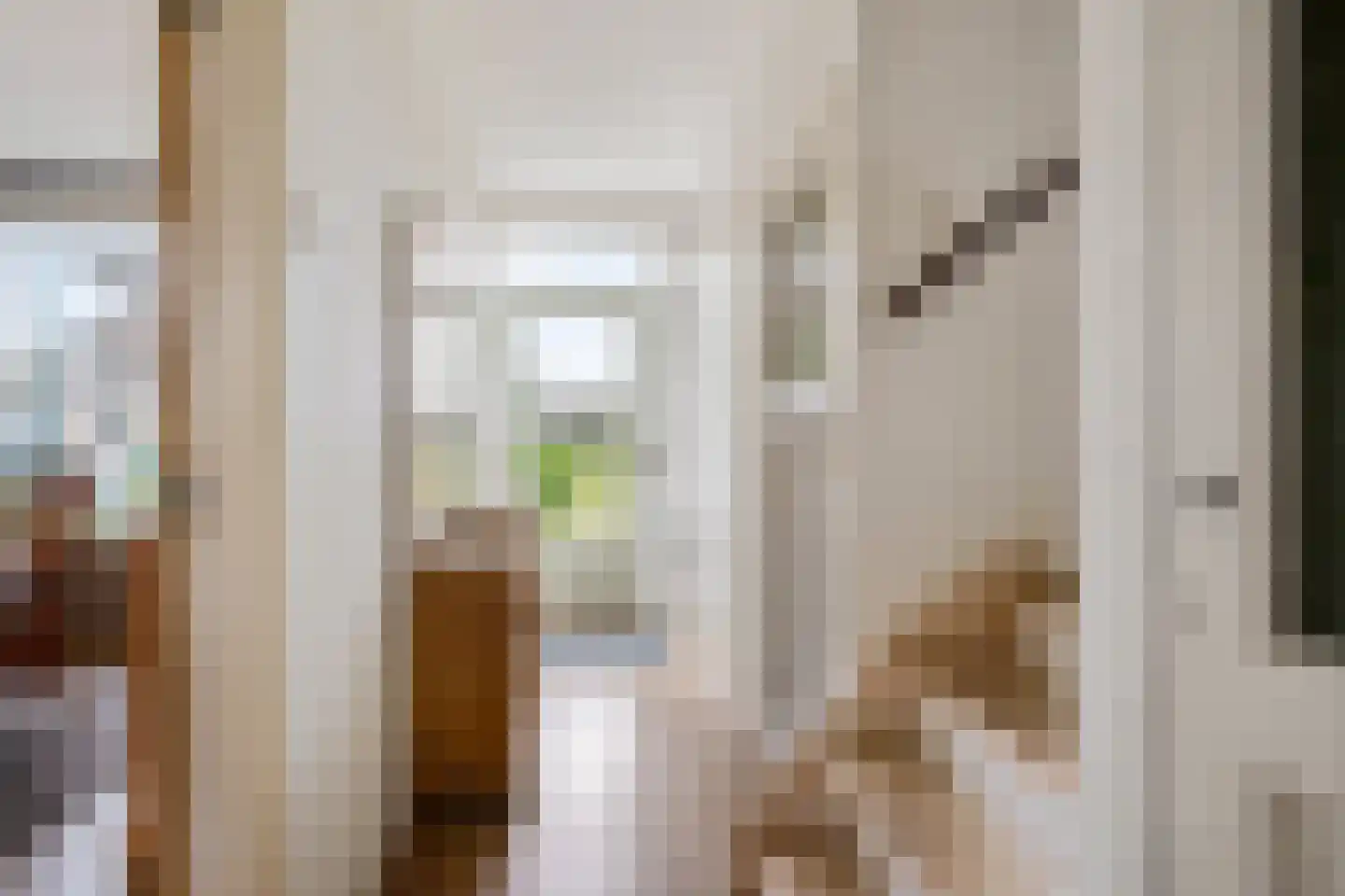 van Starkenborghstraat 10 Schiermonnikoog thumbnail 6