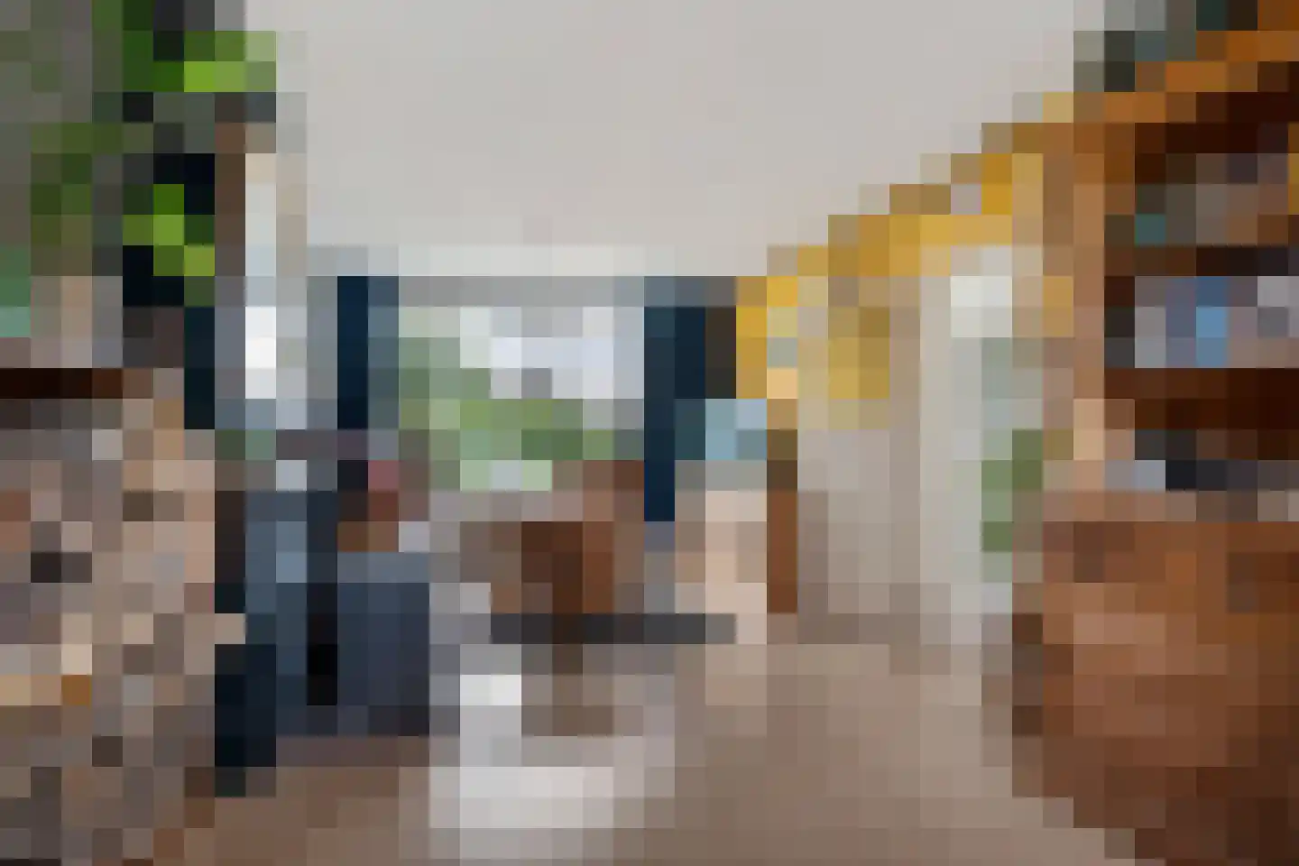 van Starkenborghstraat 10 Schiermonnikoog thumbnail 9
