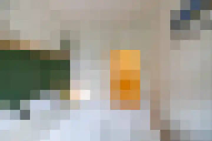 Van Starkenborghstraat 103 Groningen thumbnail 20