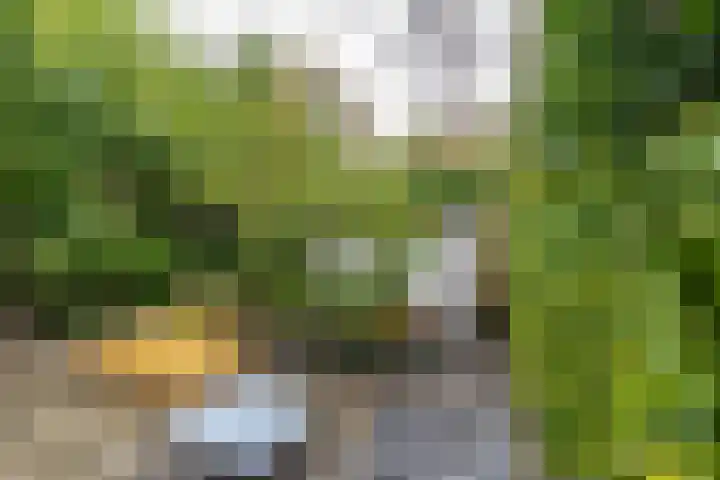 Van Starkenborghstraat 103 Groningen thumbnail 23