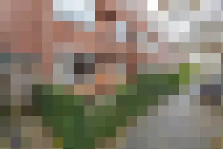 Van Starkenborghstraat 103 Groningen thumbnail 25