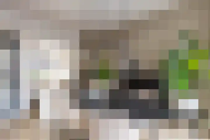 Van Starkenborghstraat 106 Groningen thumbnail 10