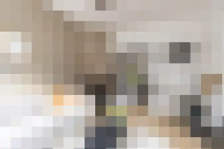 Van Starkenborghstraat 106 Groningen thumbnail 14