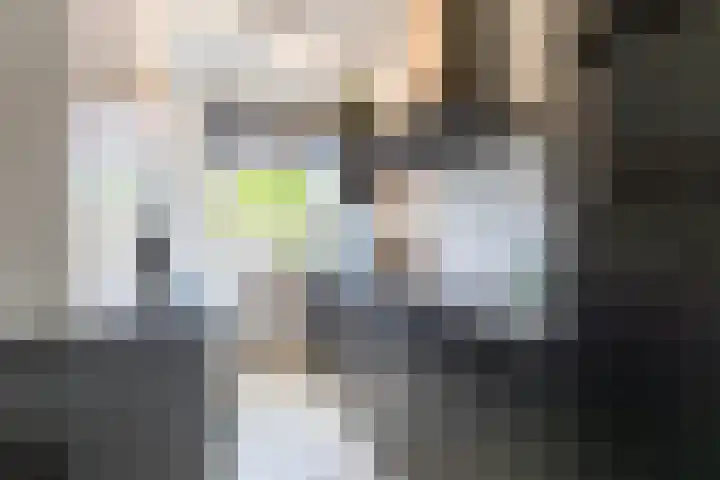 Van Starkenborghstraat 106 Groningen thumbnail 17