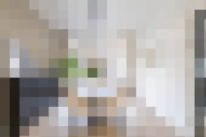 Van Starkenborghstraat 106 Groningen thumbnail 8