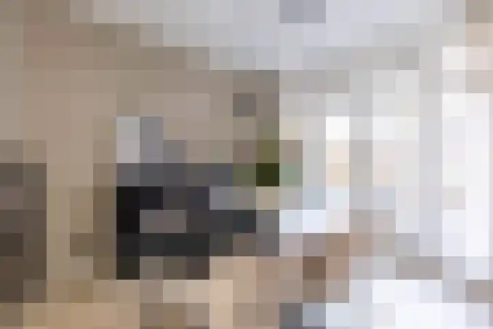 Van Starkenborghstraat 106 Groningen thumbnail 9