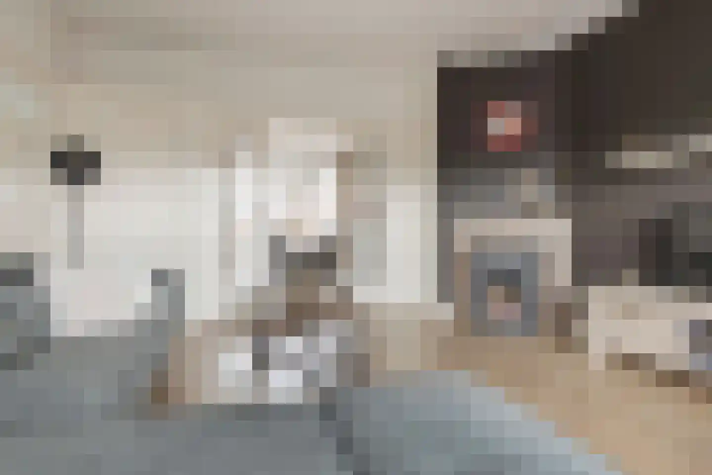 Van Starkenborghstraat 124 Groningen thumbnail 12