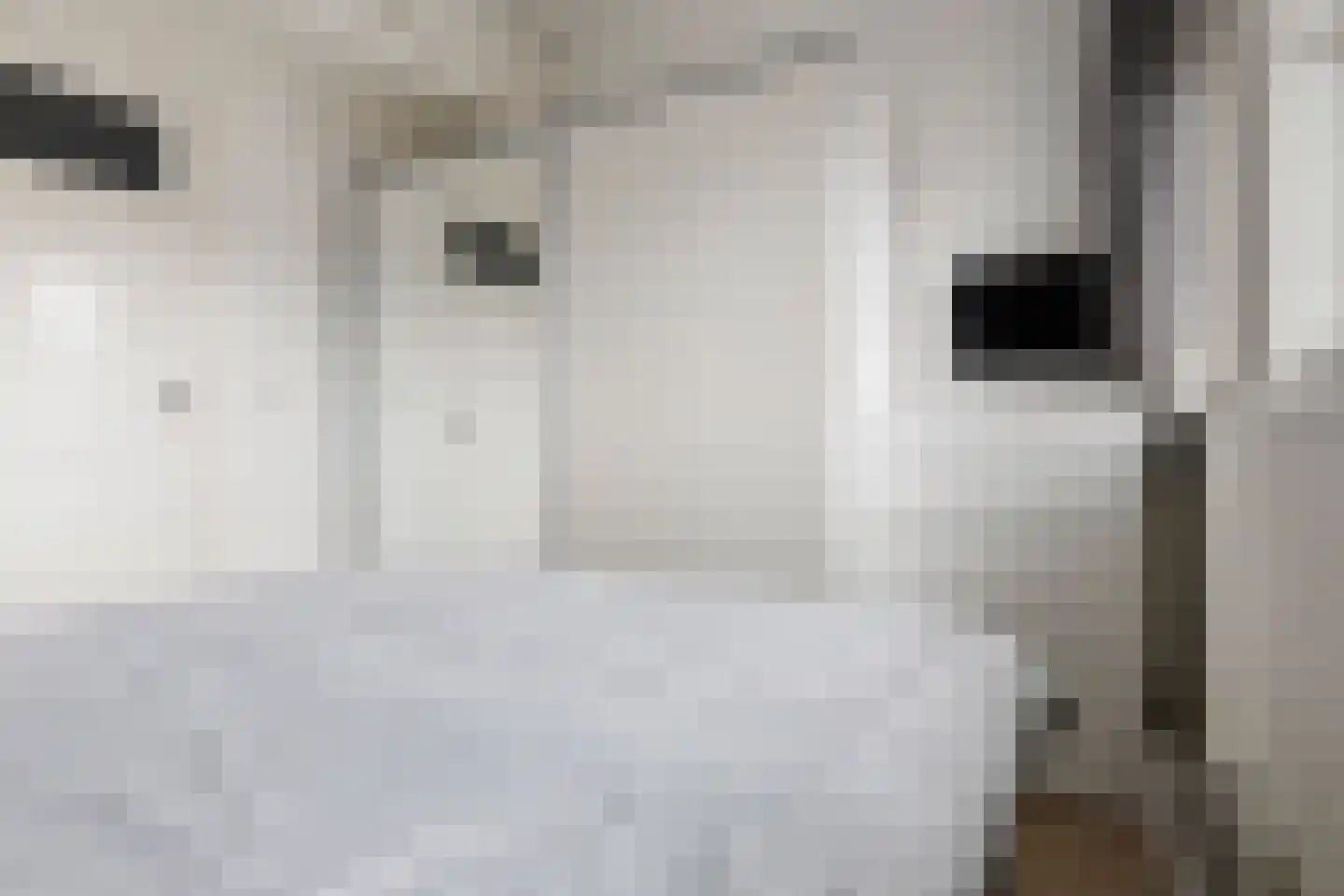 Van Starkenborghstraat 124 Groningen thumbnail 27