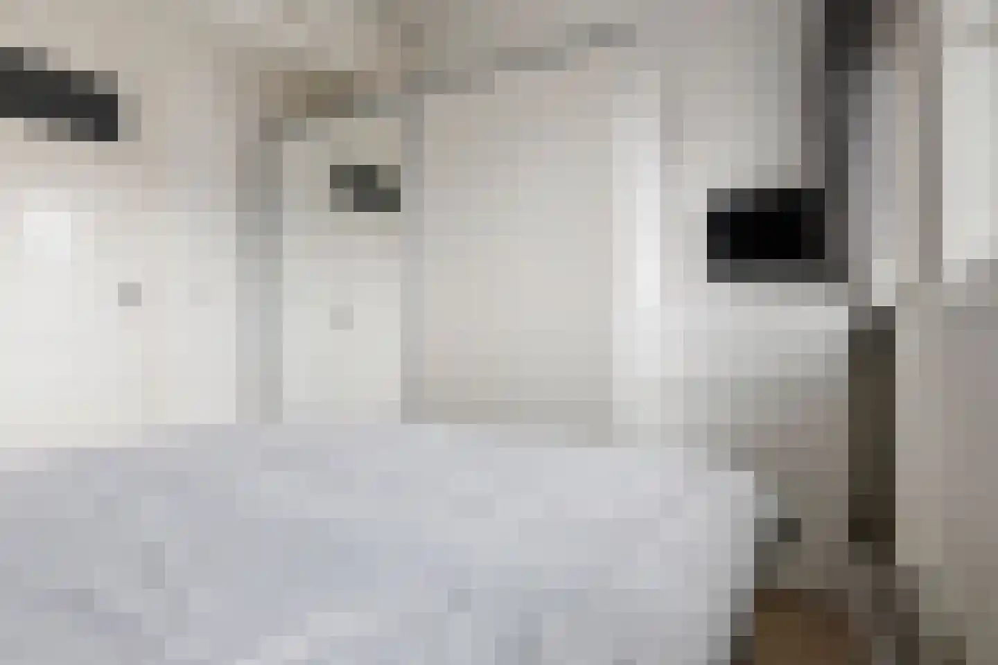 Van Starkenborghstraat 124 Groningen thumbnail 27