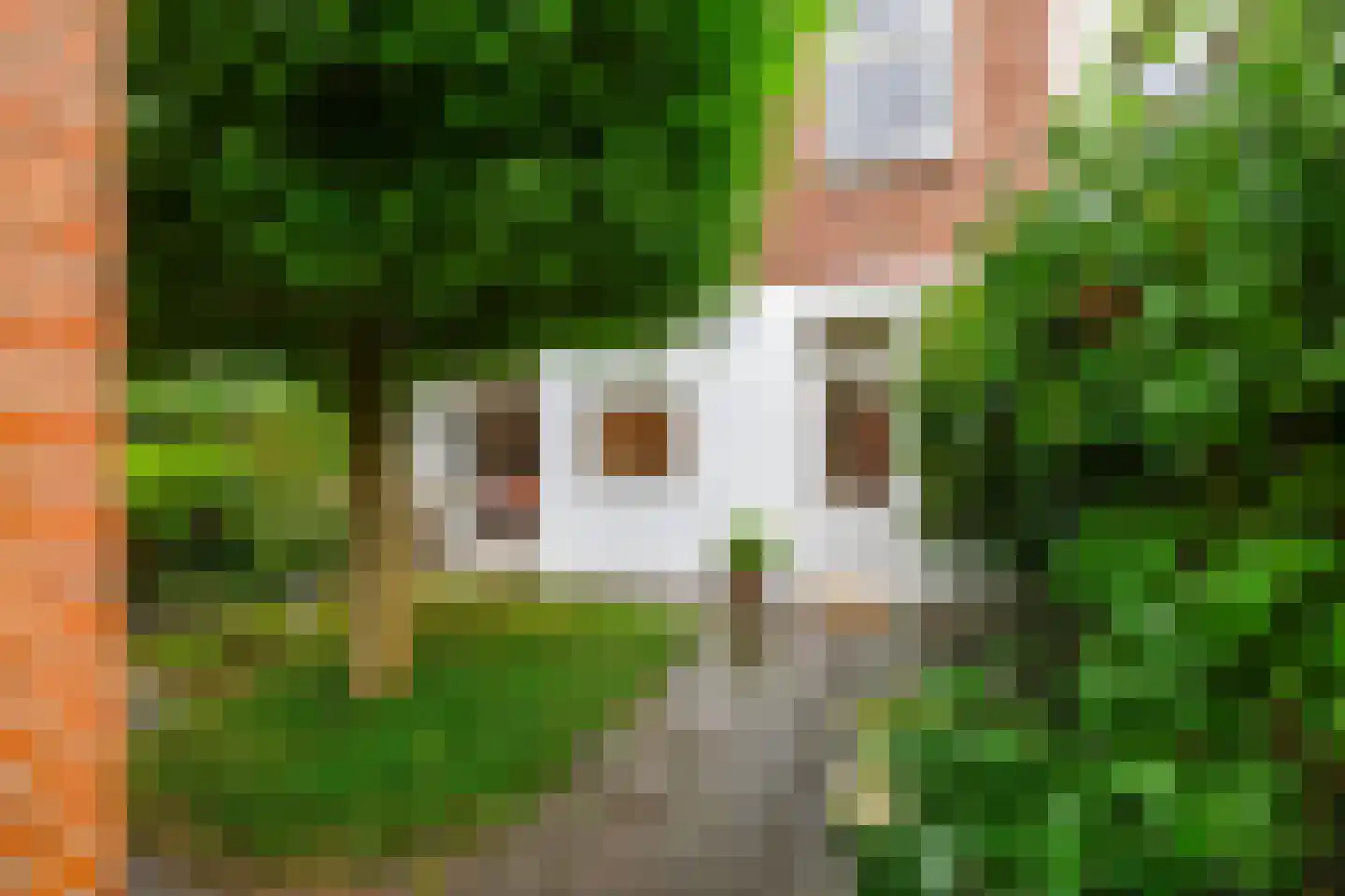 Van Starkenborghstraat 128 Groningen thumbnail 18