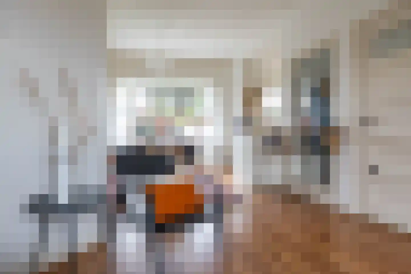 Van Starkenborghstraat 154 Groningen thumbnail 23