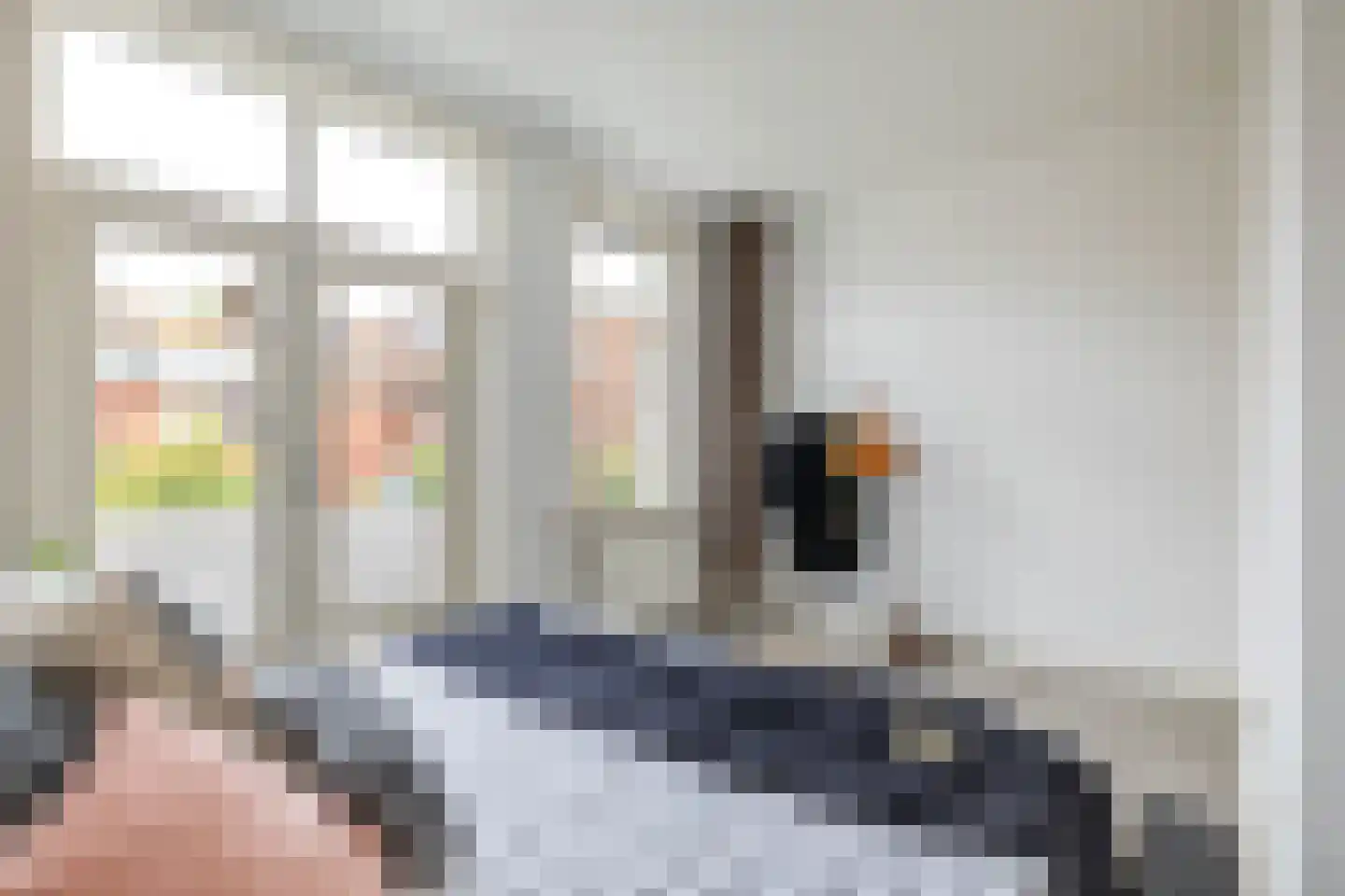 Van Starkenborghstraat 154 Groningen thumbnail 35