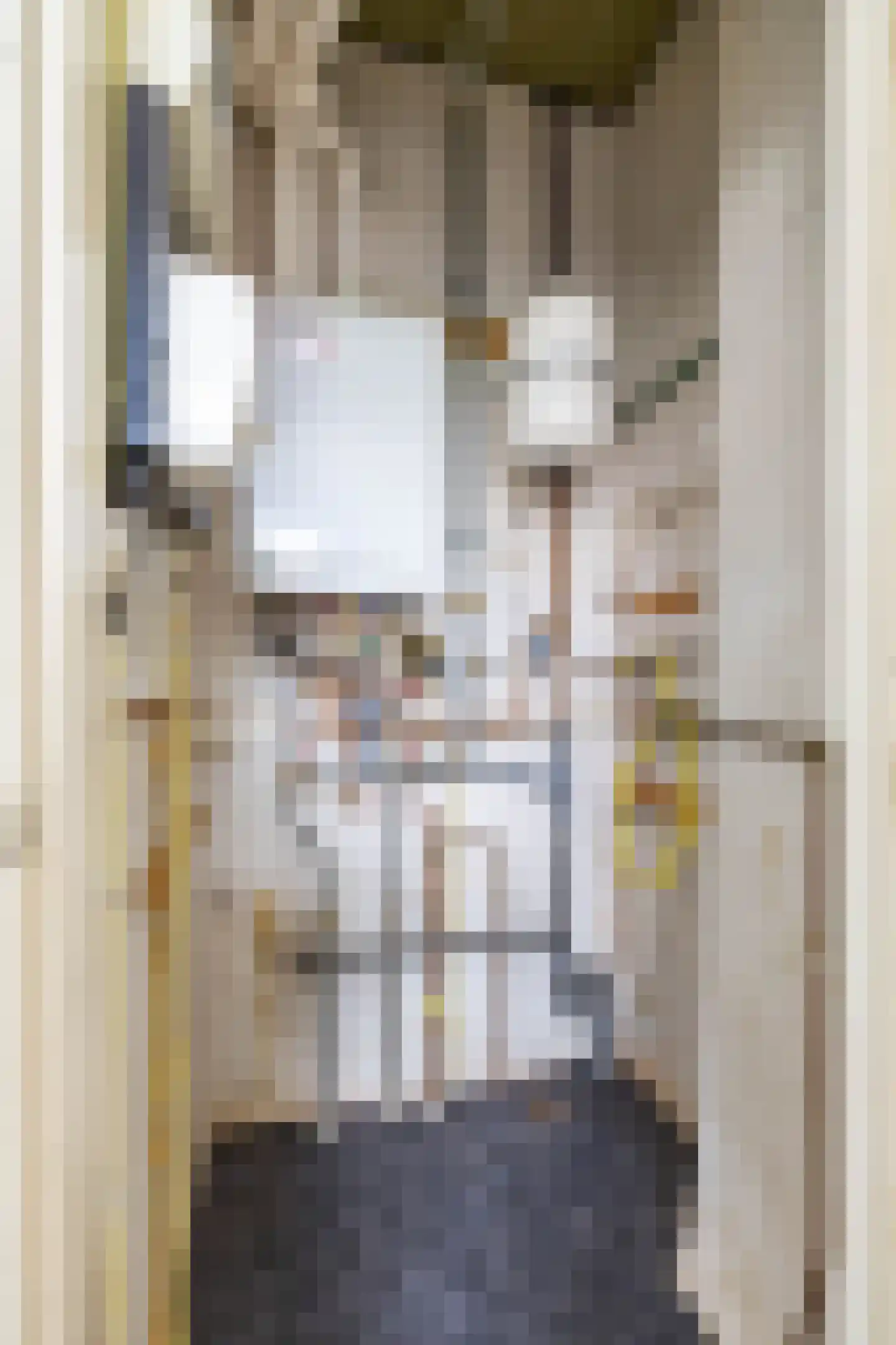 Van Starkenborghstraat 154 Groningen thumbnail 36