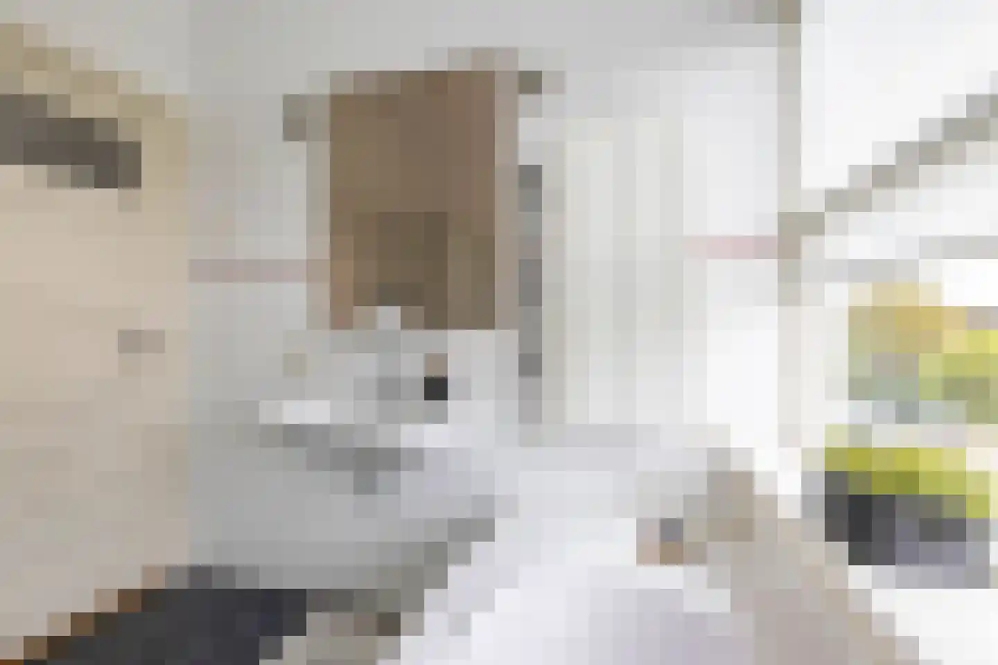 Van Starkenborghstraat 154 Groningen thumbnail 39