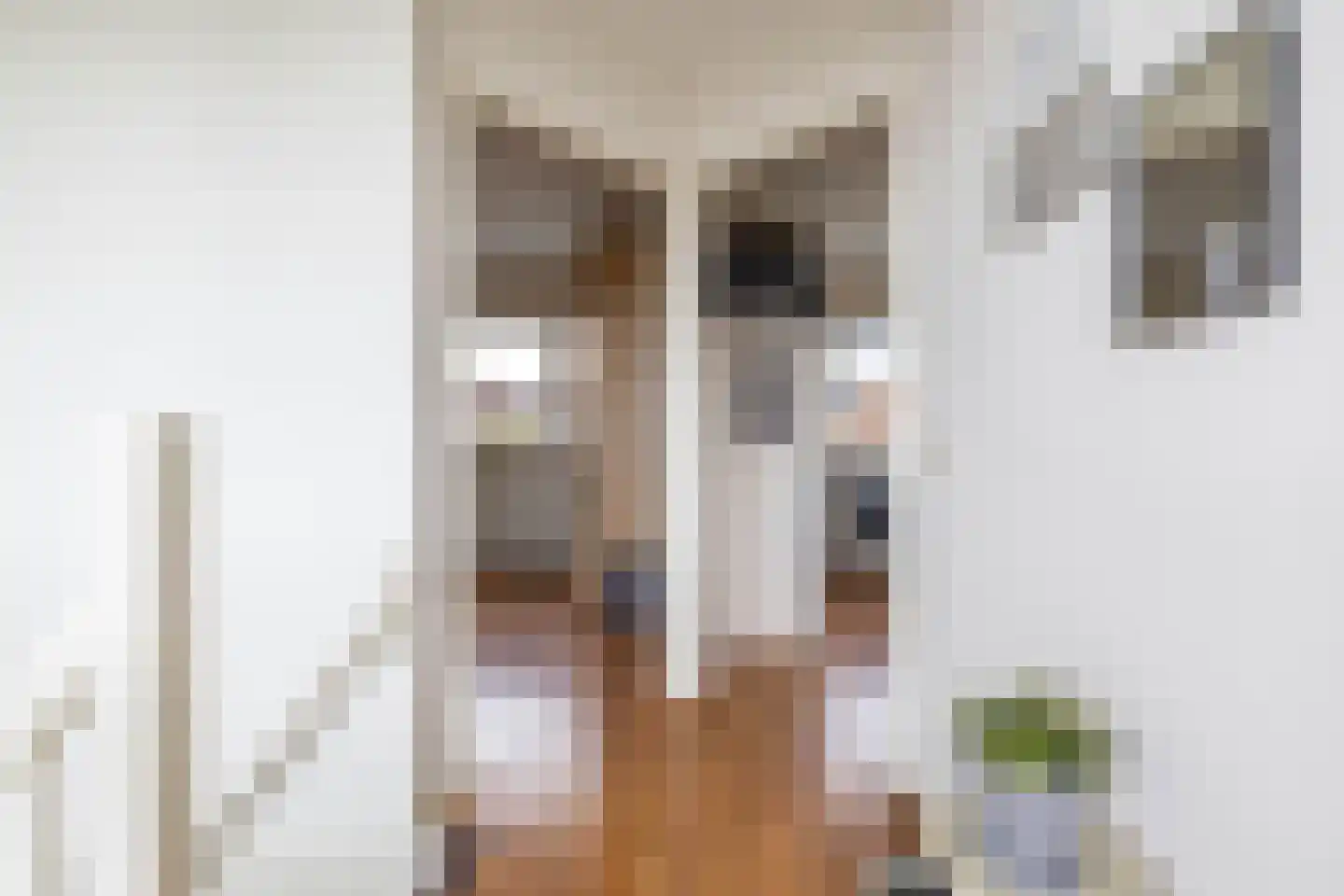Van Starkenborghstraat 154 Groningen thumbnail 47