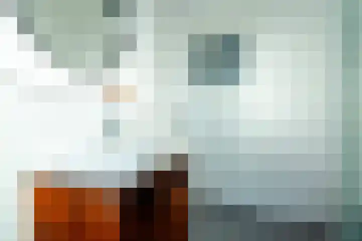Van Starkenborghstraat 17 Groningen thumbnail 29