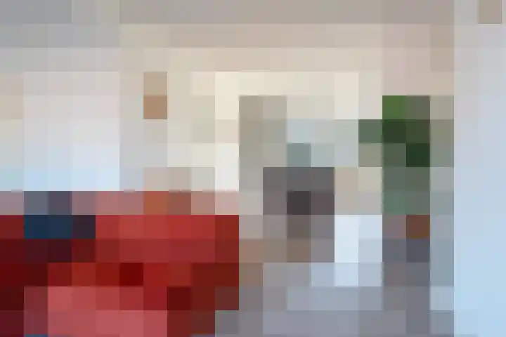 Van Starkenborghstraat 17 Groningen thumbnail 8