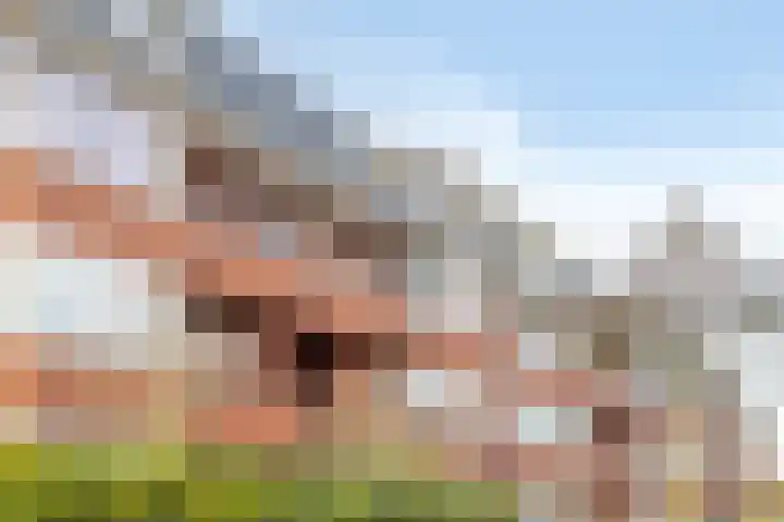 Van Starkenborghstraat 25 Groningen thumbnail 10