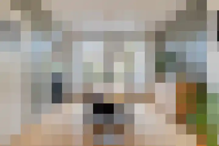 Van Starkenborghstraat 25 Groningen thumbnail 28