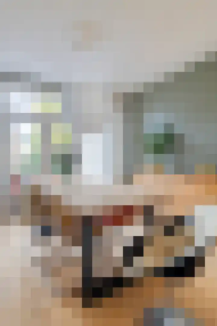 Van Starkenborghstraat 25 Groningen thumbnail 29