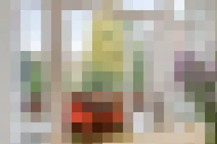 Van Starkenborghstraat 25 Groningen thumbnail 32