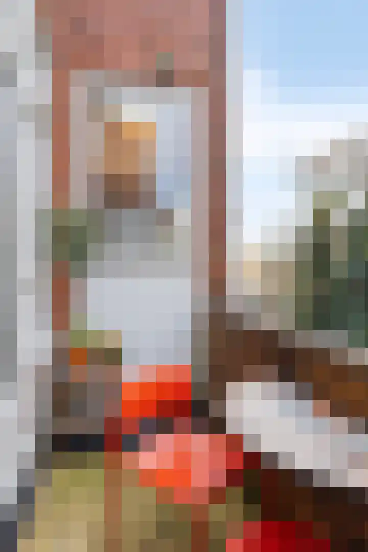 Van Starkenborghstraat 25 Groningen thumbnail 34