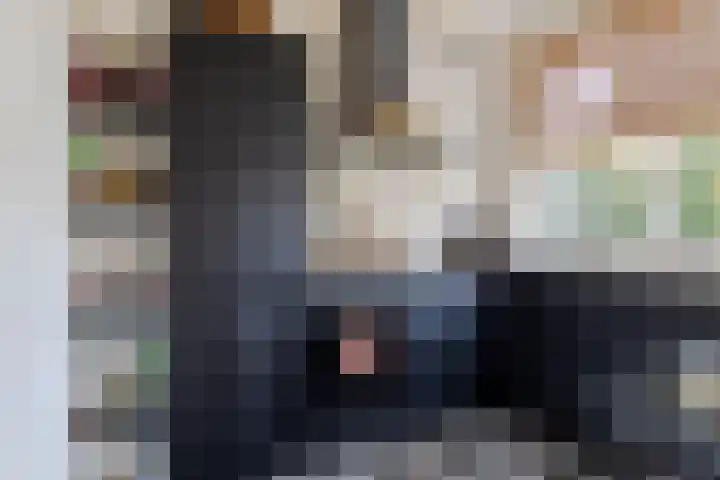 Van Starkenborghstraat 25 Groningen thumbnail 4