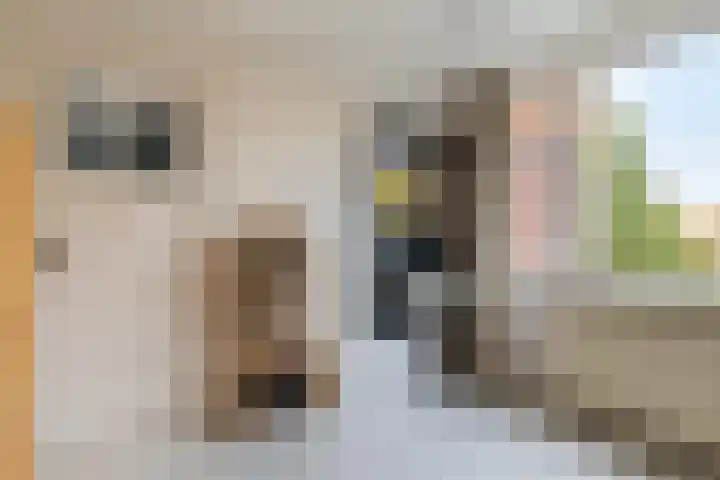 Van Starkenborghstraat 25 Groningen thumbnail 49