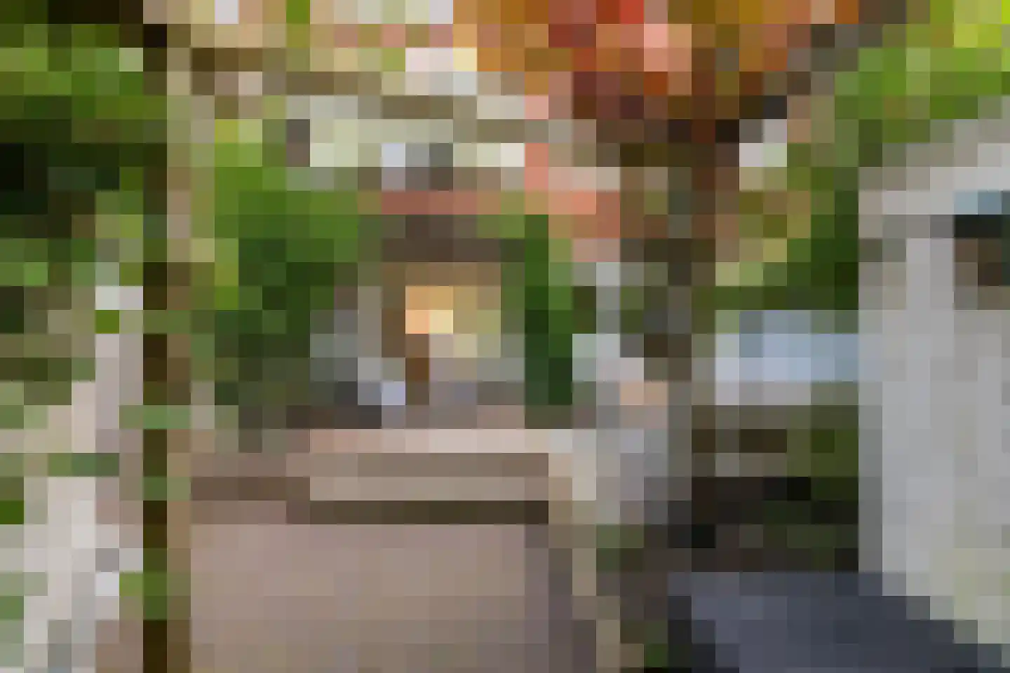 Van Starkenborghstraat 31 Groningen thumbnail 21