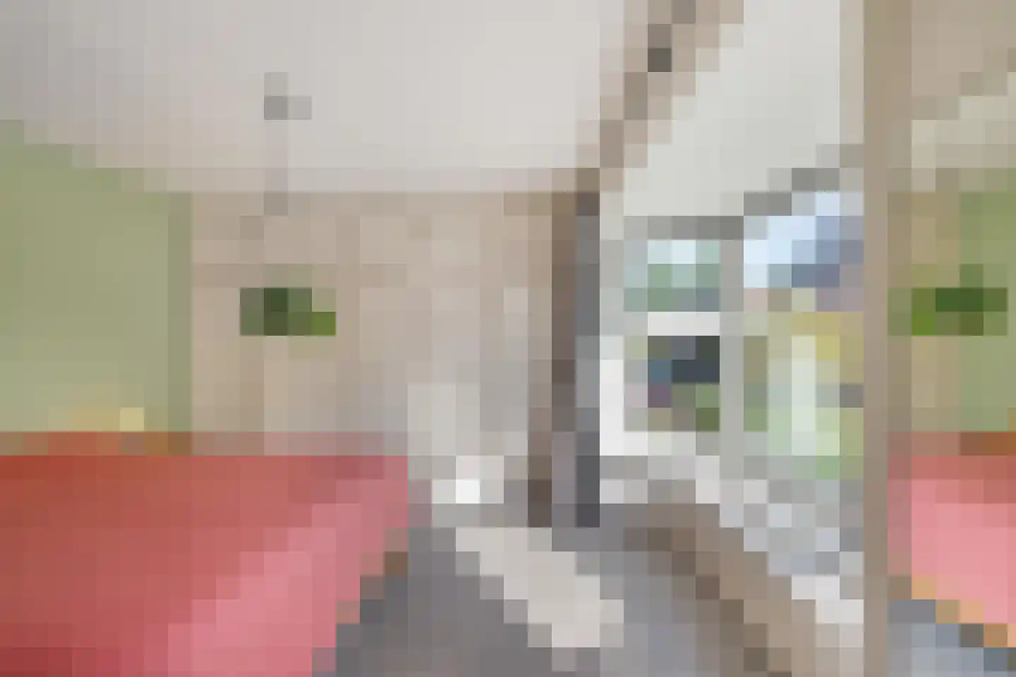 Van Starkenborghstraat 31 Groningen thumbnail 32