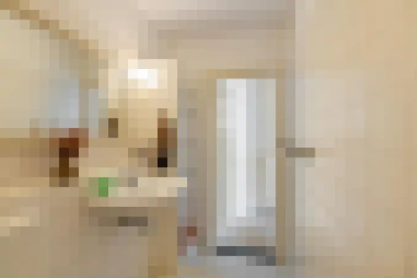 Van Starkenborghstraat 31 Groningen thumbnail 38