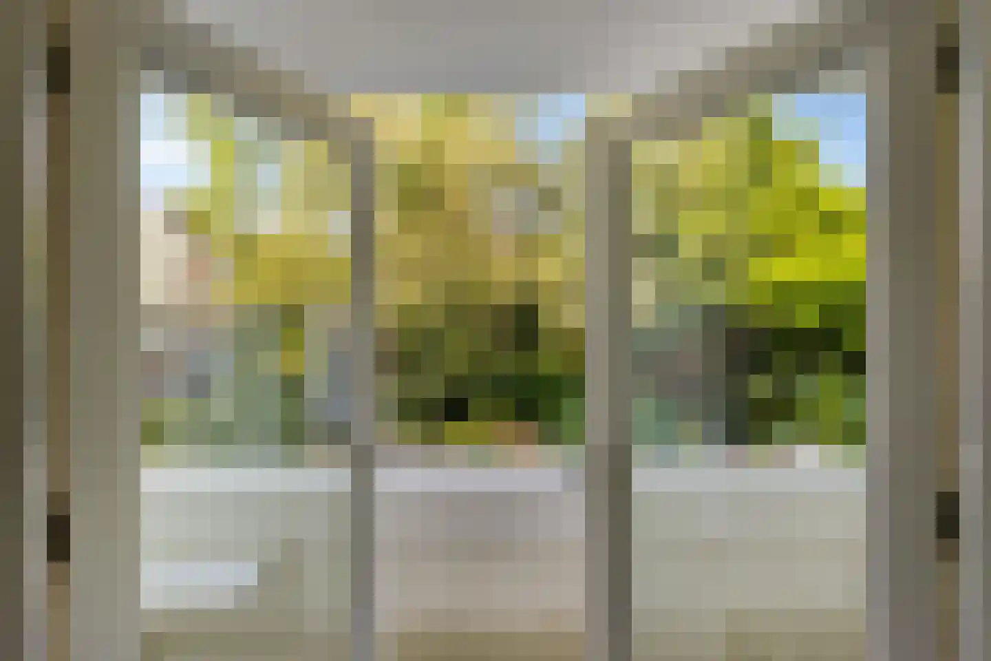 Van Starkenborghstraat 31 Groningen thumbnail 42