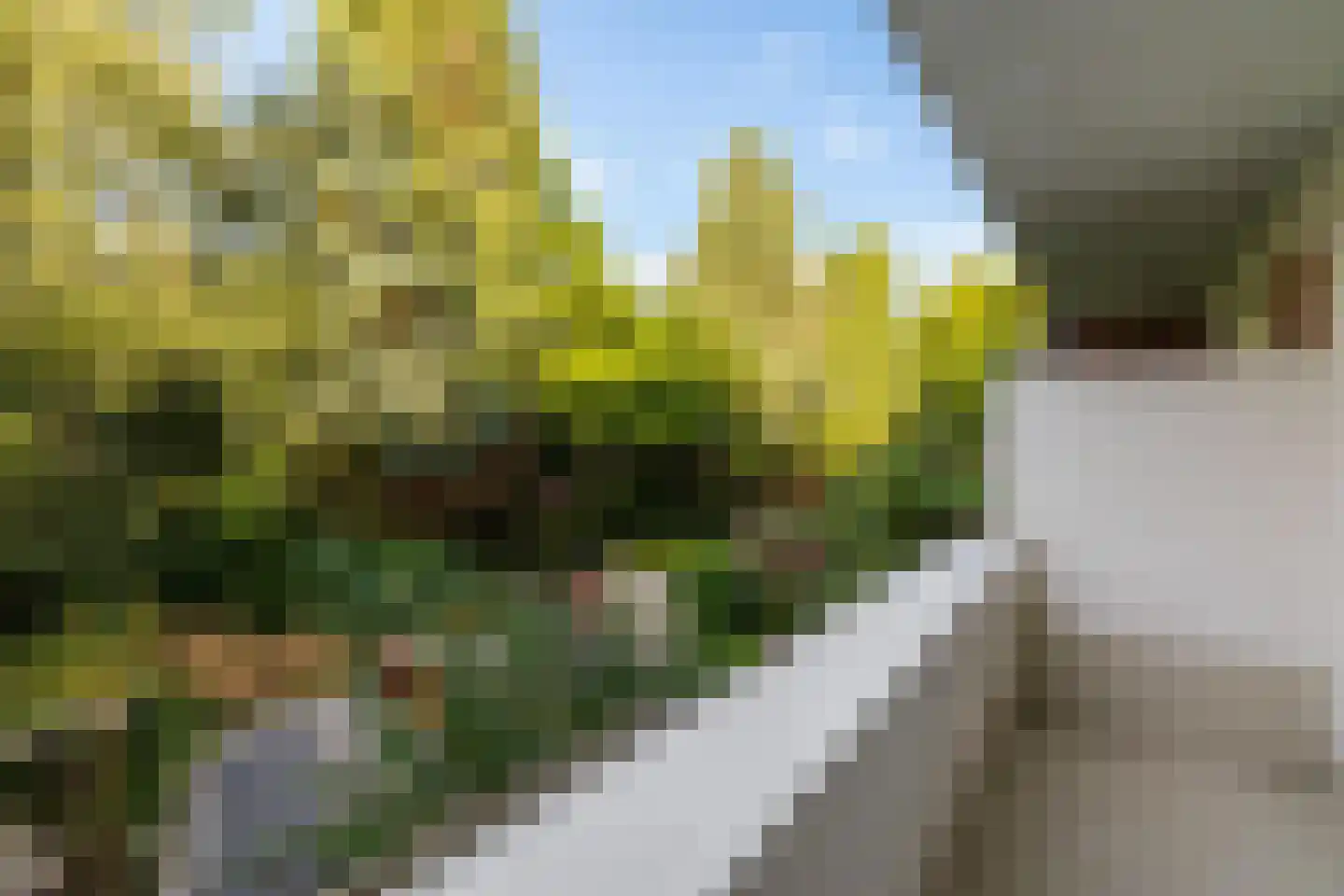 Van Starkenborghstraat 31 Groningen thumbnail 44