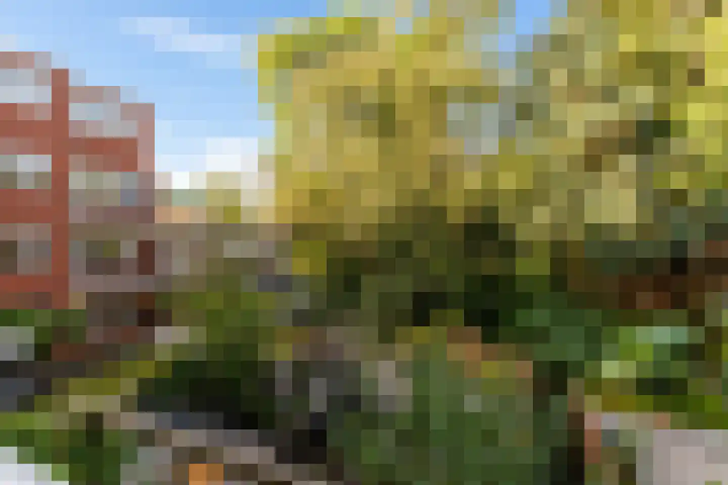 Van Starkenborghstraat 31 Groningen thumbnail 45