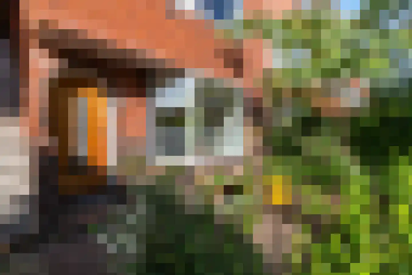 Van Starkenborghstraat 31 Groningen thumbnail 7