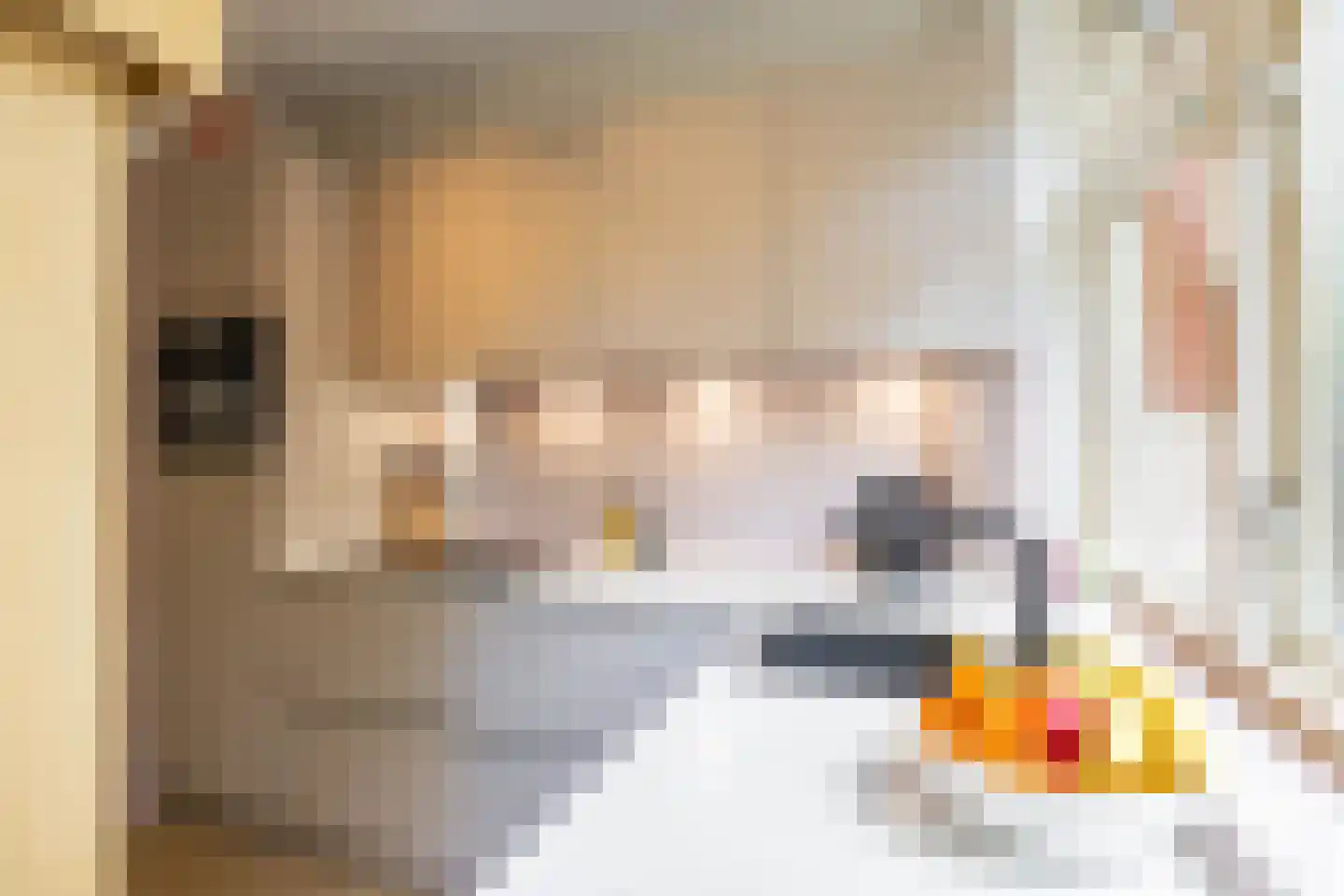 Van Starkenborghstraat 39 Groningen thumbnail 21