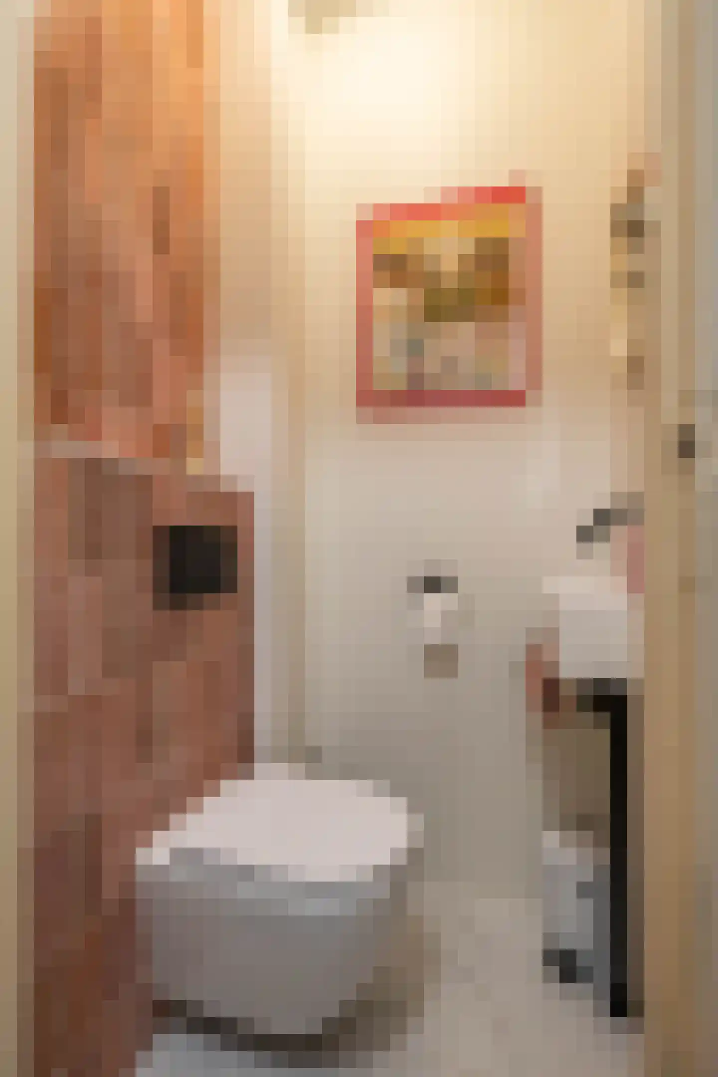 Van Starkenborghstraat 39 Groningen thumbnail 9