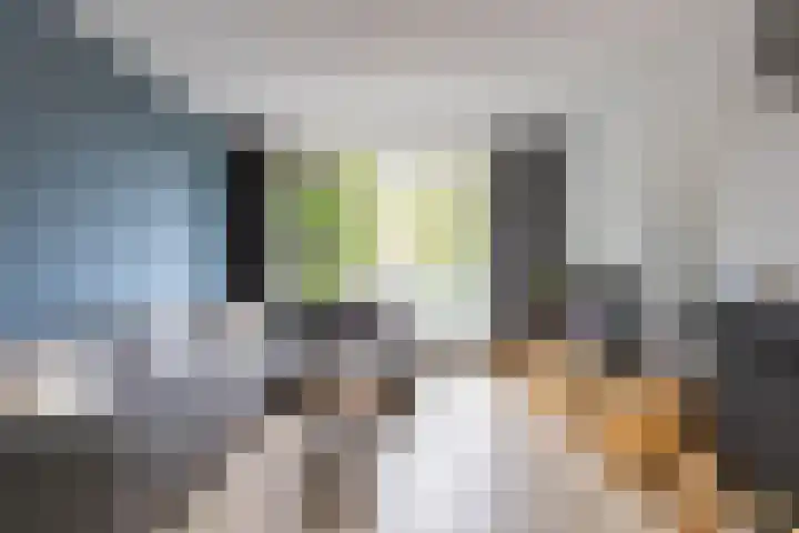Van Starkenborghstraat 50 Groningen thumbnail 10