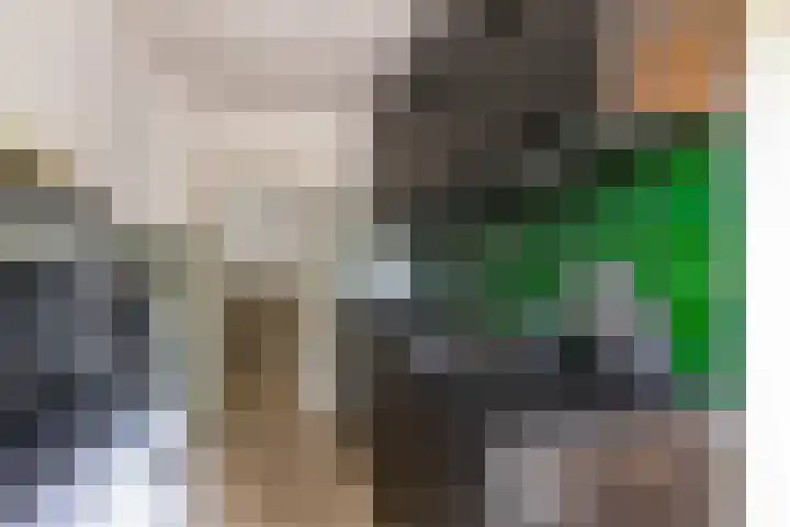 Van Starkenborghstraat 50 Groningen thumbnail 13