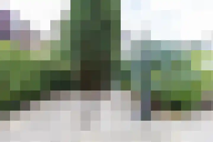 Van Starkenborghstraat 50 Groningen thumbnail 24