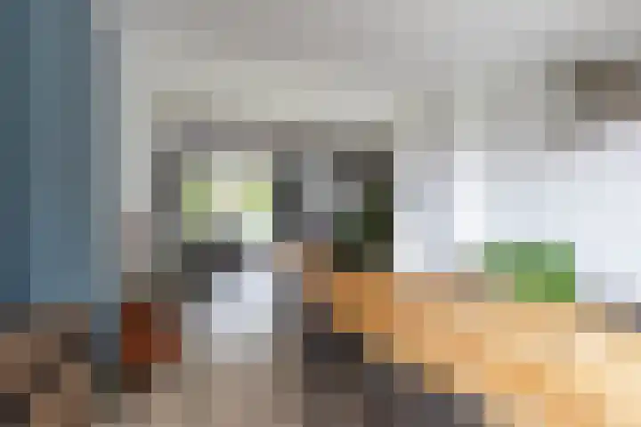 Van Starkenborghstraat 50 Groningen thumbnail 4
